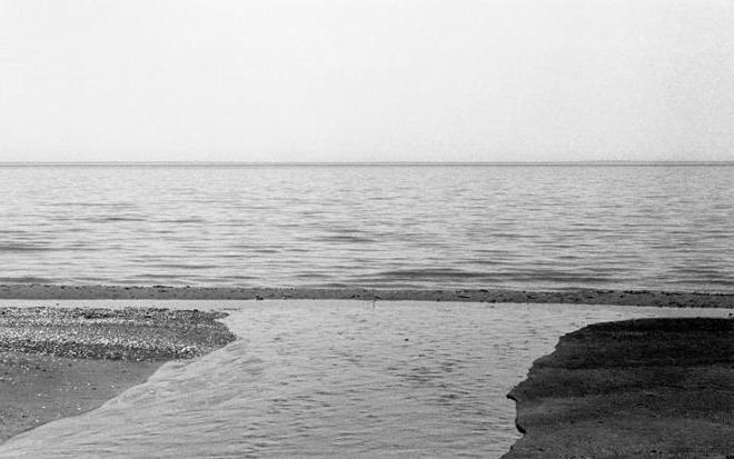 一幅黑白照片，描绘了一条两边被沙子包围的宽阔溪流，它通向一个更大的水体. 在照片的上半部分可以看到地平线和部分无云的天空.