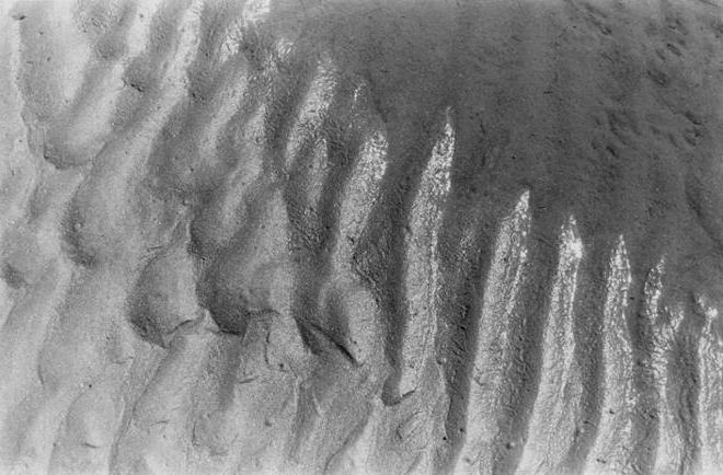 一张近距离的黑白照片，在强烈的阳光下，潮湿的沙子上的山脊. 一个阴影出现在左上角. 